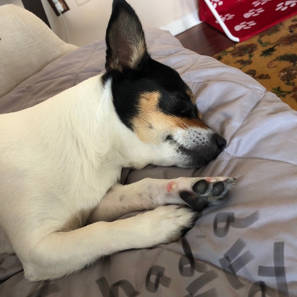 Meet your Posher, Tanya - Picture 6 of 8